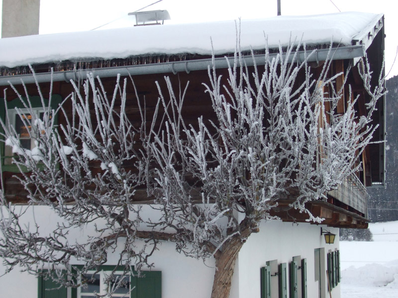 Winter in Leutasch – verschneite Winterlandschaft